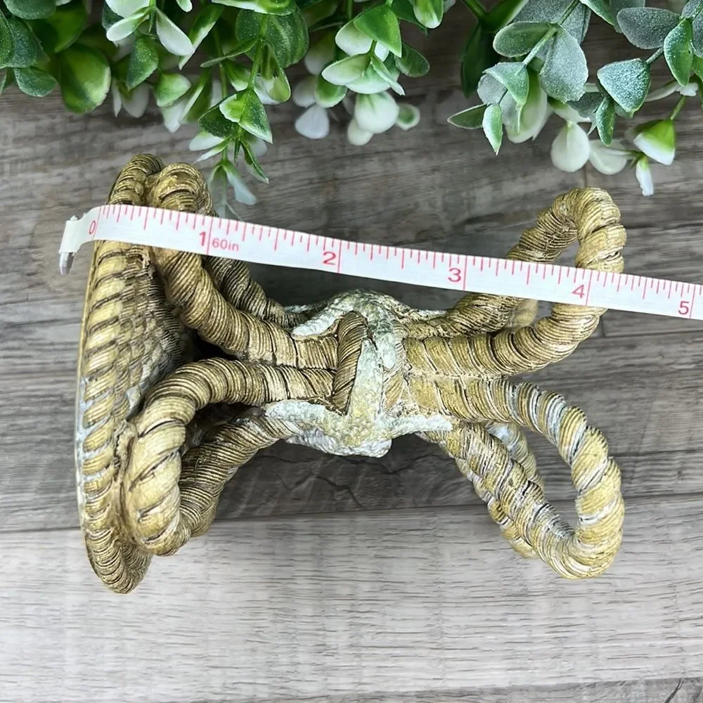 Avanti Beachcomber Seashells Resin Toothbrush Holder